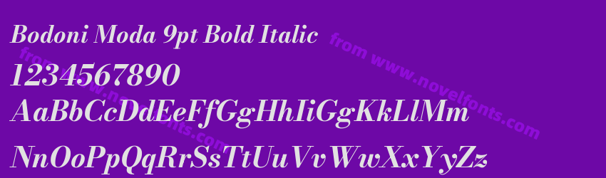 Bodoni Moda 9pt Bold ItalicPreview