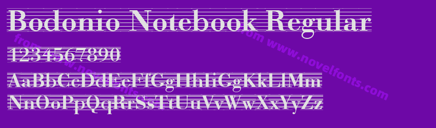 Bodonio Notebook RegularPreview