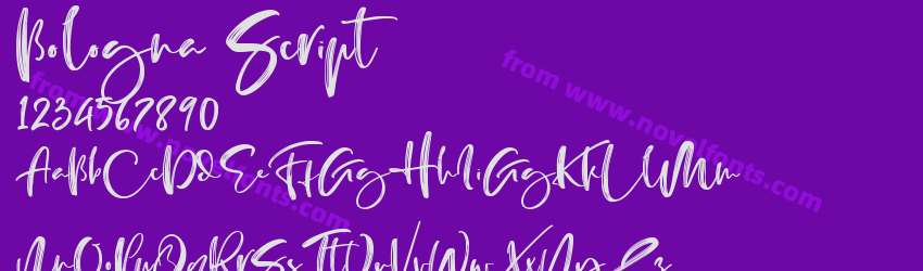 Bologna ScriptPreview Bologna ScriptPreview