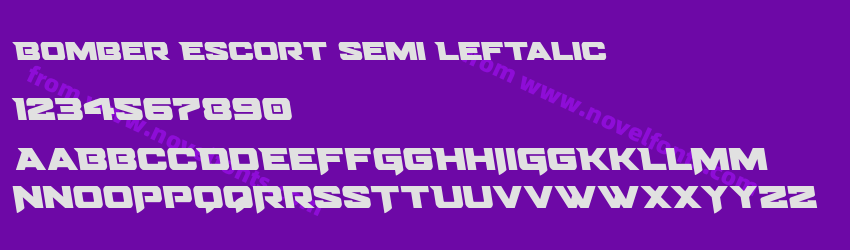 Bomber Escort Semi LeftalicPreview Bomber Escort Semi LeftalicPreview