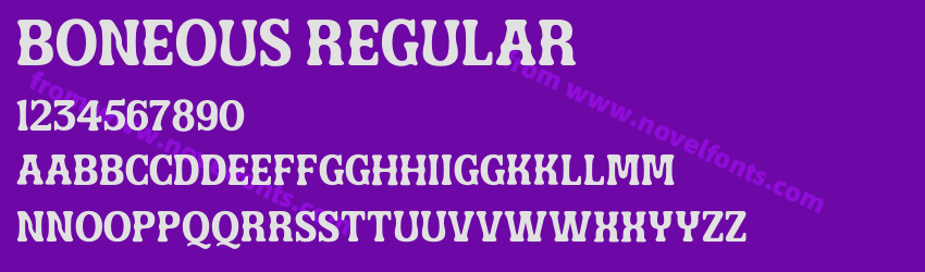 Boneous RegularPreview Boneous RegularPreview