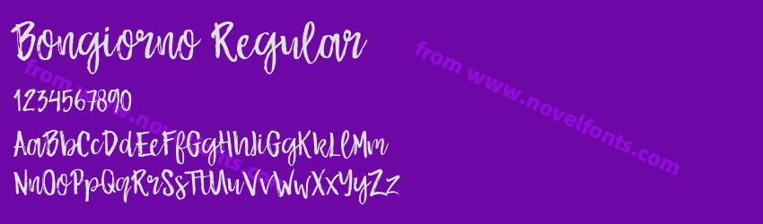 Bongiorno RegularPreview Bongiorno RegularPreview