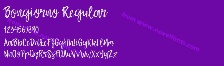 Bongiorno RegularPreview Bongiorno RegularPreview