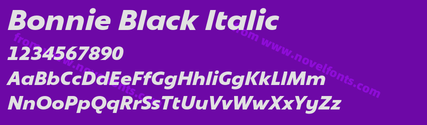 Bonnie Black ItalicPreview
