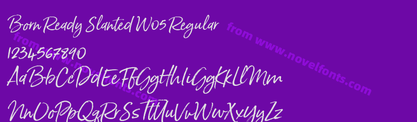 Born Ready Slanted W05 RegularPreview Born Ready Slanted W05 RegularPreview
