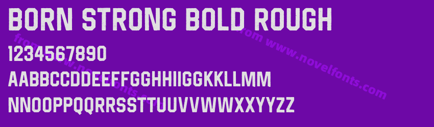 Born Strong Bold RoughPreview