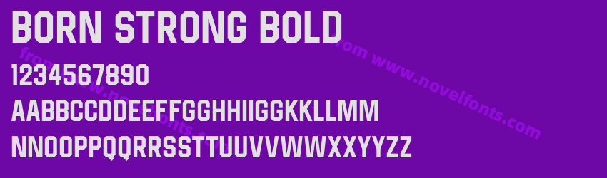Born Strong BoldPreview Born Strong BoldPreview