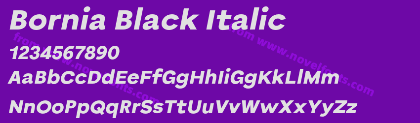 Bornia Black ItalicPreview