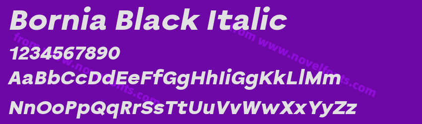 Bornia Black ItalicPreview Bornia Black ItalicPreview