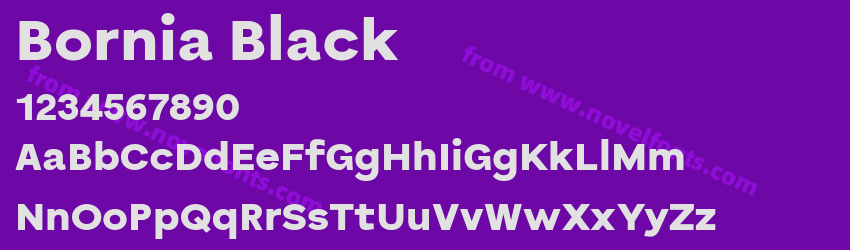 Bornia BlackPreview Bornia BlackPreview