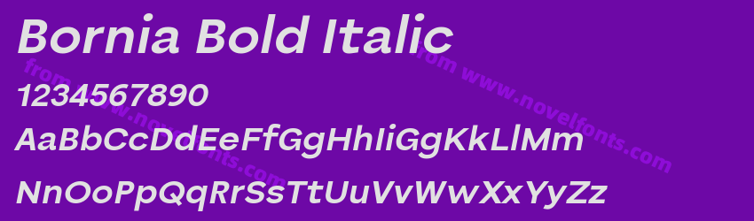 Bornia Bold ItalicPreview Bornia Bold ItalicPreview