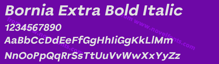 Bornia Extra Bold ItalicPreview