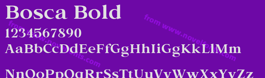 Bosca BoldPreview Bosca BoldPreview