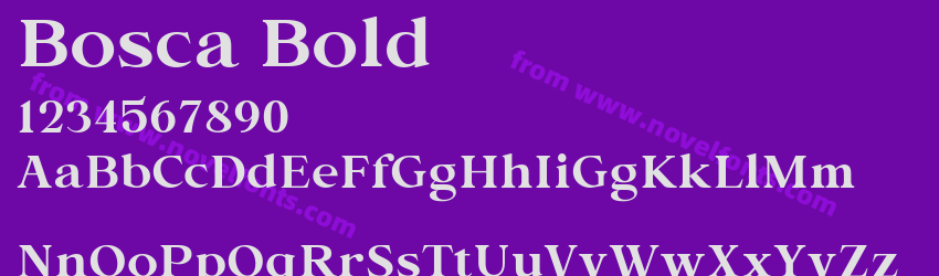 Bosca BoldPreview Bosca BoldPreview