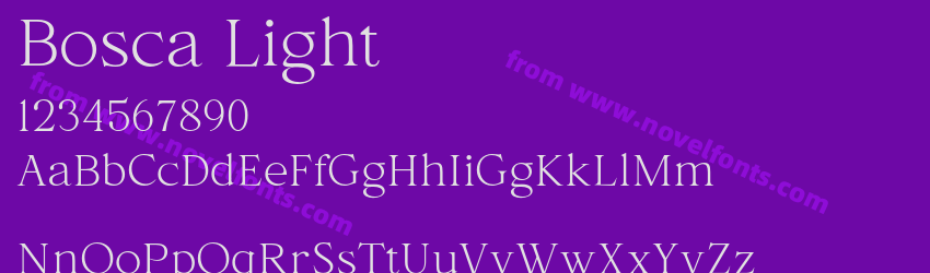 Bosca LightPreview Bosca LightPreview