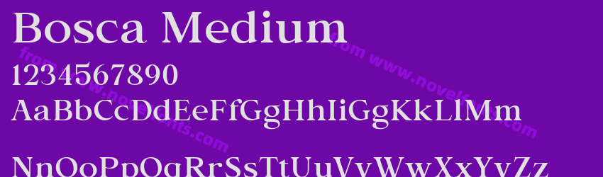 Bosca MediumPreview Bosca MediumPreview