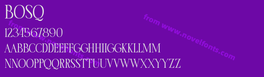 BosqPreview BosqPreview