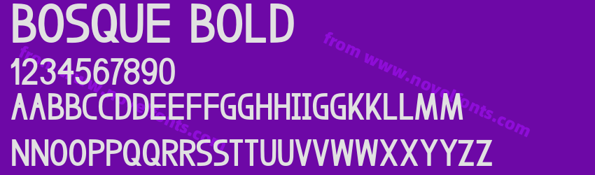 Bosque BoldPreview