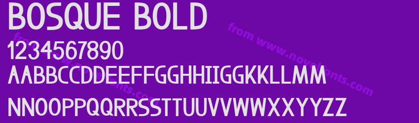 Bosque BoldPreview