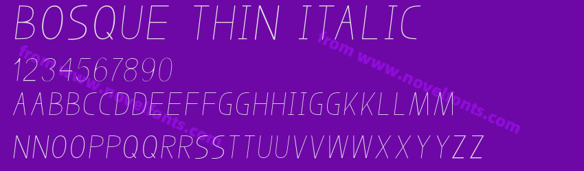Bosque Thin ItalicPreview Bosque Thin ItalicPreview