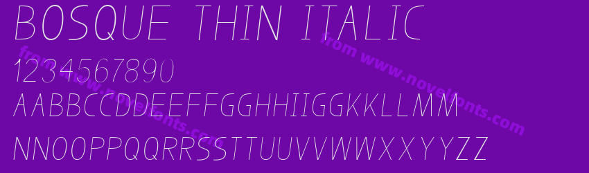 Bosque Thin ItalicPreview