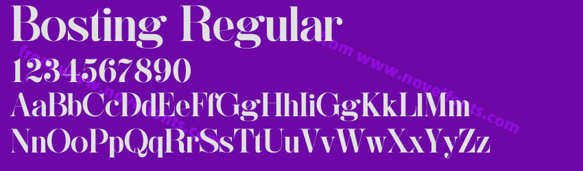 Bosting RegularPreview Bosting RegularPreview