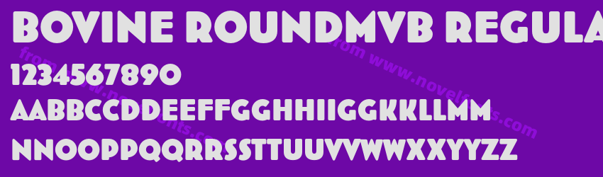 Bovine RoundMVB RegularPreview Bovine RoundMVB RegularPreview