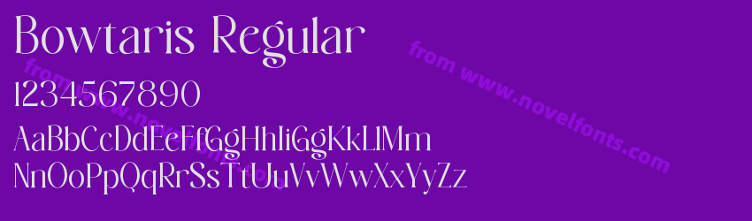 Bowtaris RegularPreview Bowtaris RegularPreview