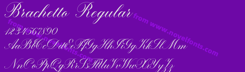 Brachetto RegularPreview Brachetto RegularPreview