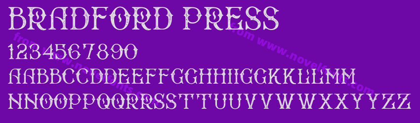 Bradford PressPreview
