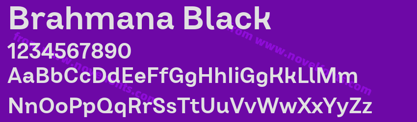 Brahmana BlackPreview Brahmana BlackPreview