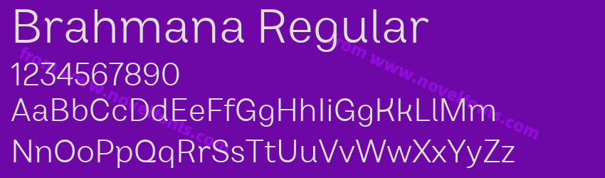 Brahmana RegularPreview