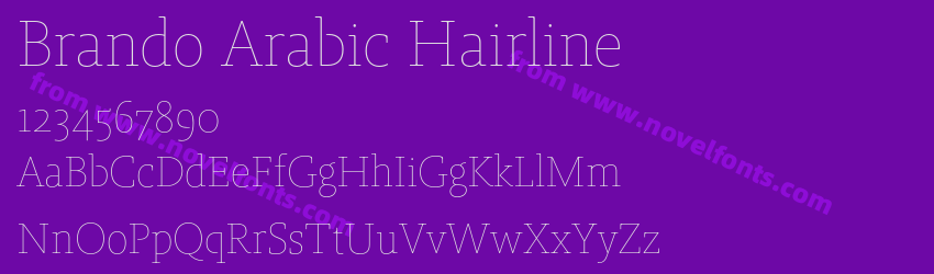 Brando Arabic HairlinePreview
