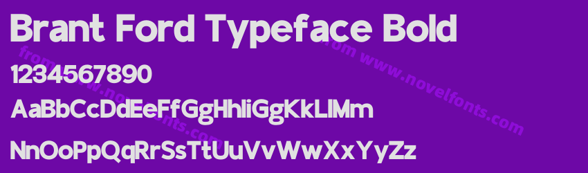 Brant Ford Typeface BoldPreview Brant Ford Typeface BoldPreview