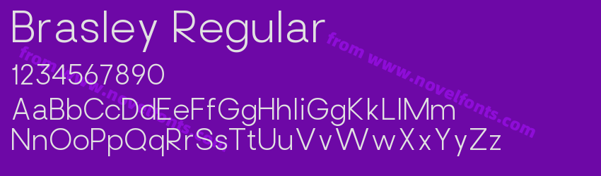Brasley RegularPreview