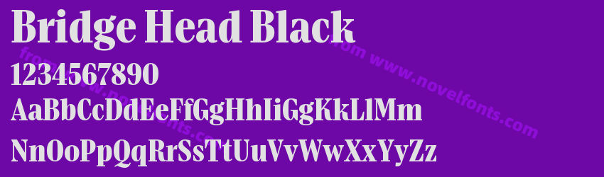 Bridge Head BlackPreview Bridge Head BlackPreview