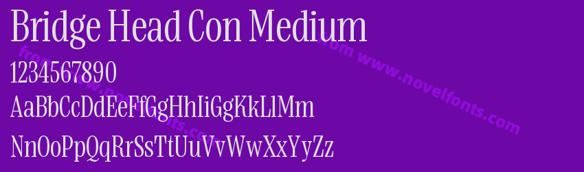Bridge Head Con MediumPreview Bridge Head Con MediumPreview