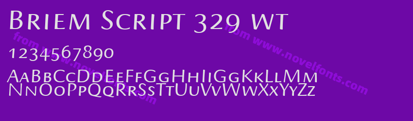 Briem Script 329 wtPreview Briem Script 329 wtPreview