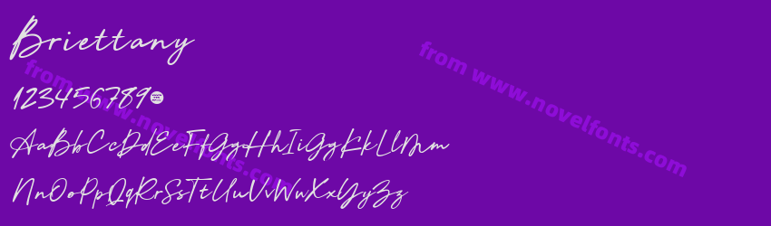 BriettanyPreview BriettanyPreview