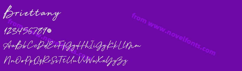 BriettanyPreview BriettanyPreview