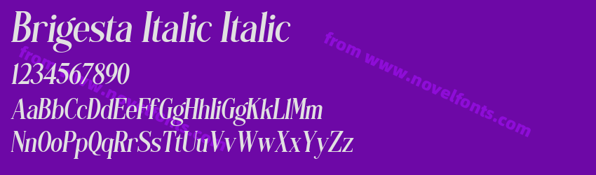 Brigesta Italic ItalicPreview