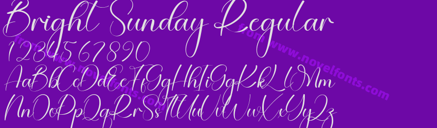 Bright Sunday RegularPreview