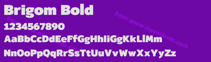 Brigom BoldPreview Brigom BoldPreview