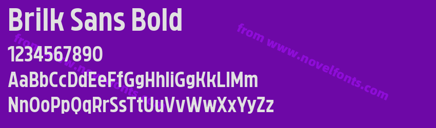 Brilk Sans BoldPreview