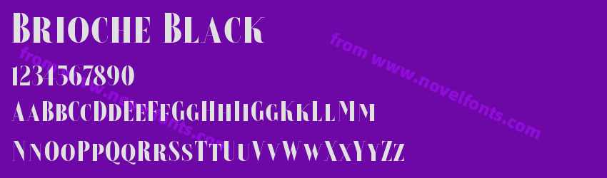 Brioche BlackPreview