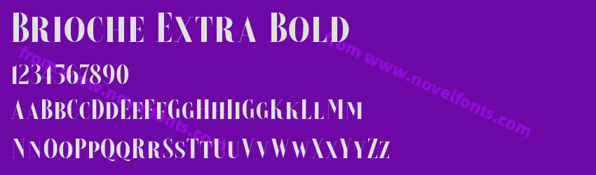 Brioche Extra BoldPreview Brioche Extra BoldPreview