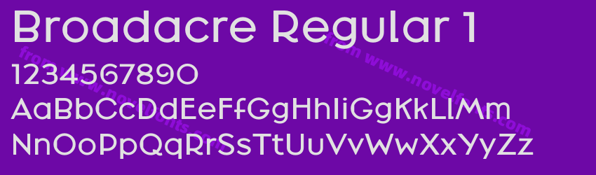 Broadacre Regular 1Preview Broadacre Regular 1Preview