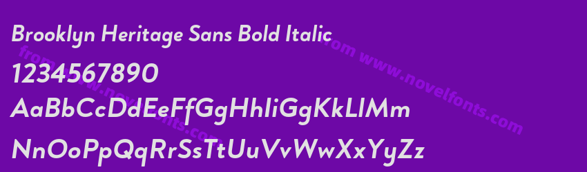 Brooklyn Heritage Sans Bold ItalicPreview