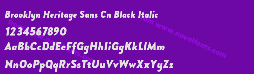 Brooklyn Heritage Sans Cn Black ItalicPreview Brooklyn Heritage Sans Cn Black ItalicPreview