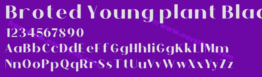Broted Young plant BlackPreview Broted Young plant BlackPreview